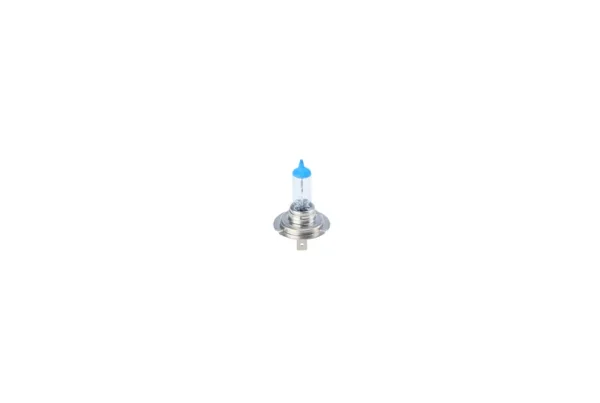 Bec incandescent | Bosch
