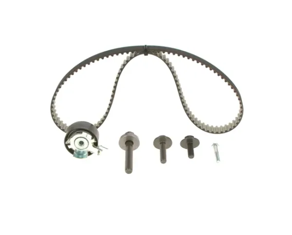 Set Curea Dintata Rola (Curele)