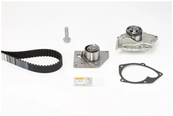 Set Pompa Apa + Curea Dintata
