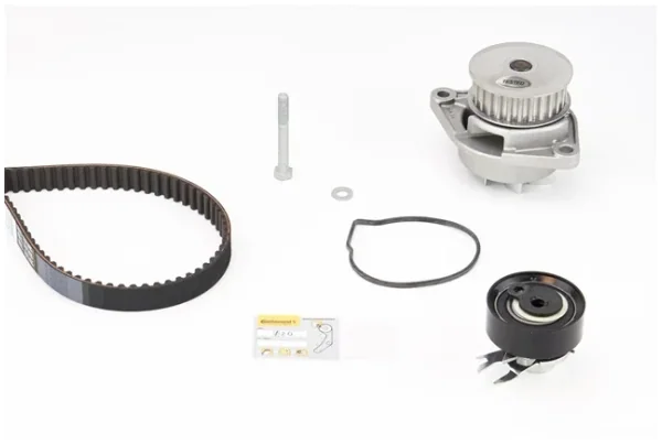 Set Pompa Apa + Curea Dintata
