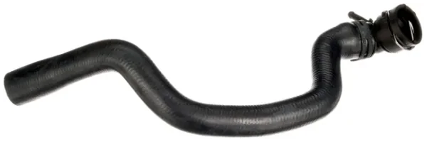 Furtun Curbat