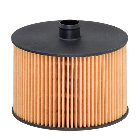 Filtru Combustibil