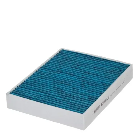 Filtru Polen - Hengst