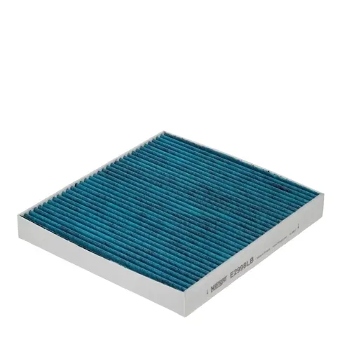 Filtru Polen - Hengst