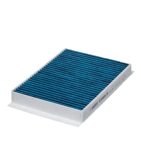 Filtru Polen - Hengst