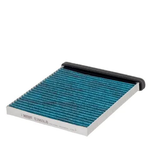 Filtru Polen - Hengst