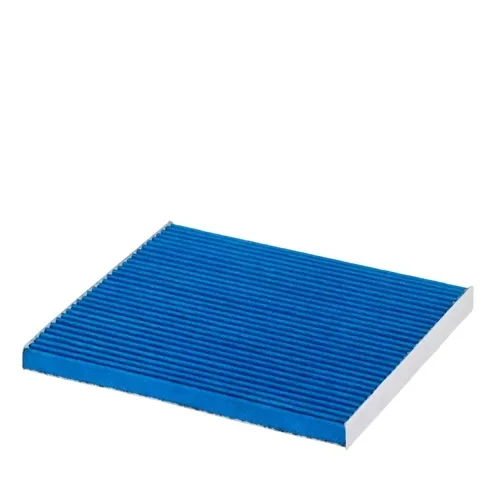 Filtru Polen - Hengst