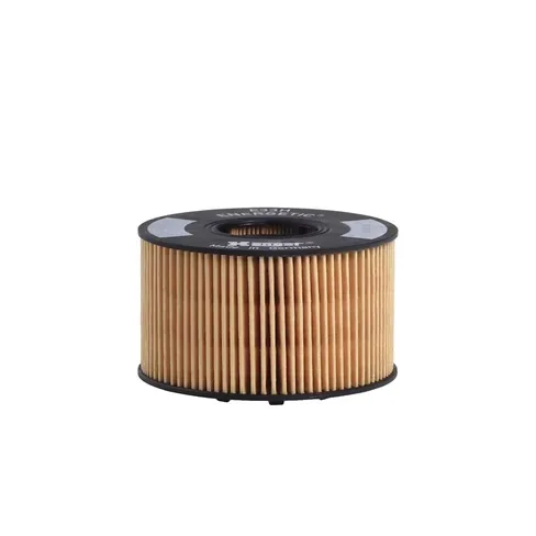 Filtru Ulei
