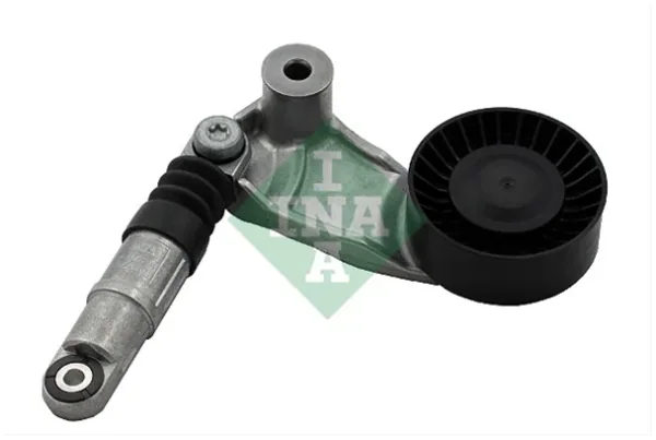 Intinzator Curea, Curea Distributie