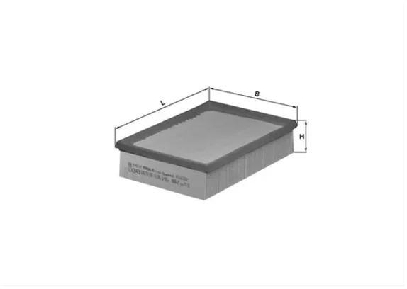 Filtru Aer