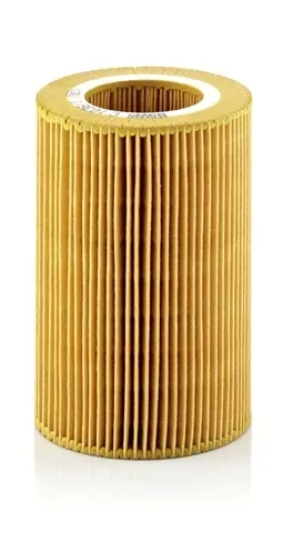 Filtru Aer