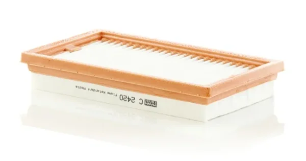 Filtru Aer