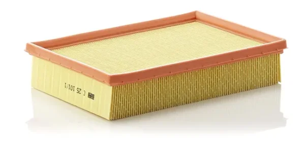 Filtru Aer