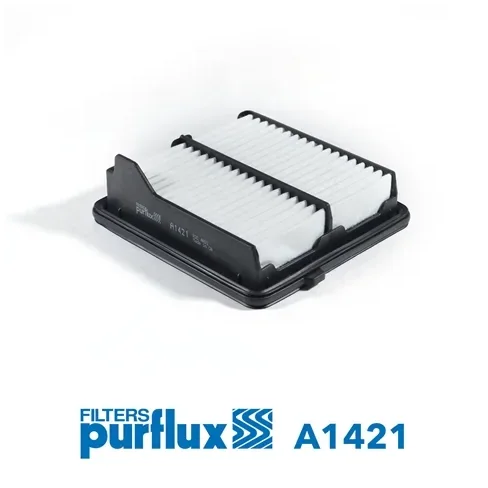 Filtru Aer